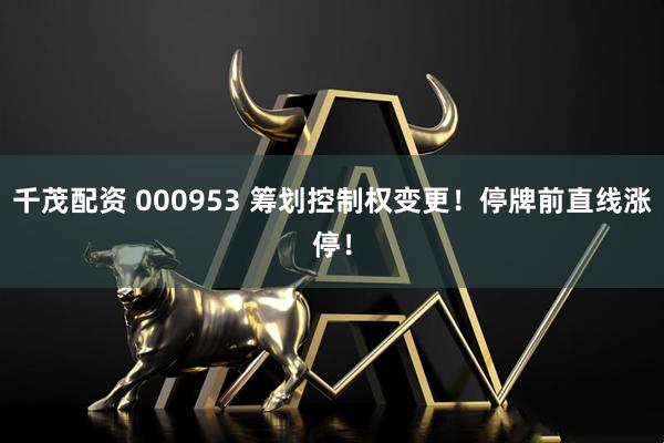 千茂配资 000953 筹划控制权变更！停牌前直线涨停！