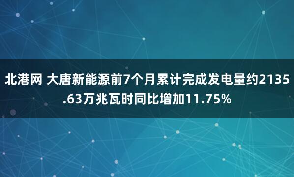 北港网 大唐新能源前7个月累计完成发电量约2135.63万兆瓦时同比增加11.75%