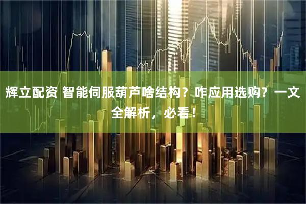辉立配资 智能伺服葫芦啥结构？咋应用选购？一文全解析，必看！