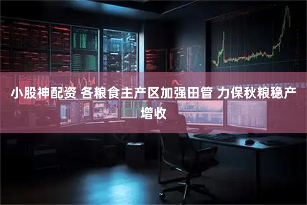 小股神配资 各粮食主产区加强田管 力保秋粮稳产增收