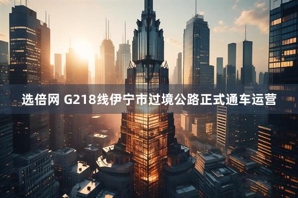 选倍网 G218线伊宁市过境公路正式通车运营