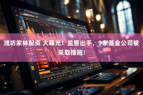 潍坊家林配资 大曝光!监管出手,9家基金公司被采取措施!