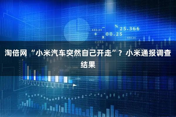 淘倍网 “小米汽车突然自己开走”？小米通报调查结果